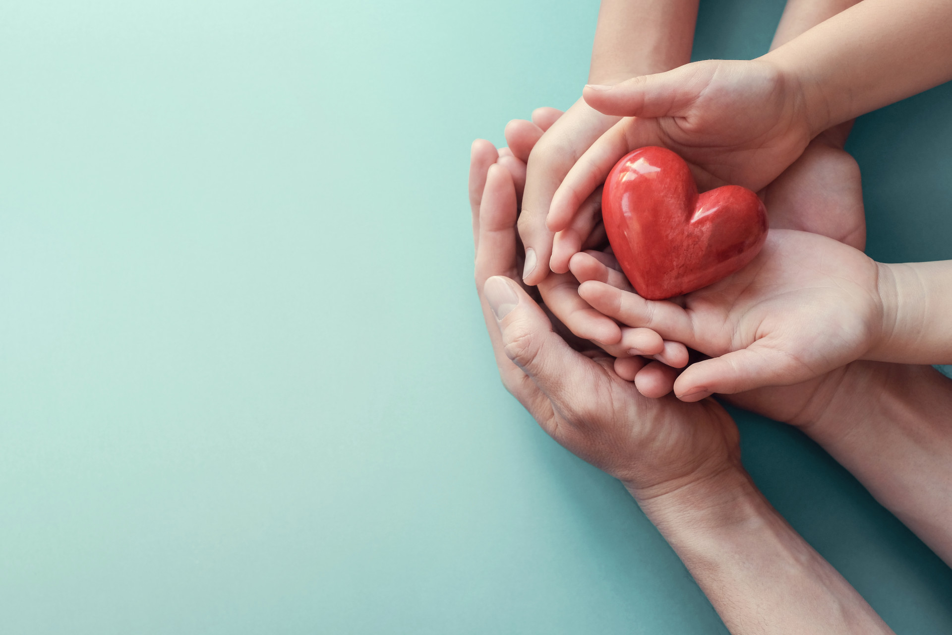 El papel del colesterol para mantener un coraz&oacute;n sano